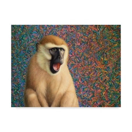 James W. Johnson 'Yawn' Canvas Art,14x19